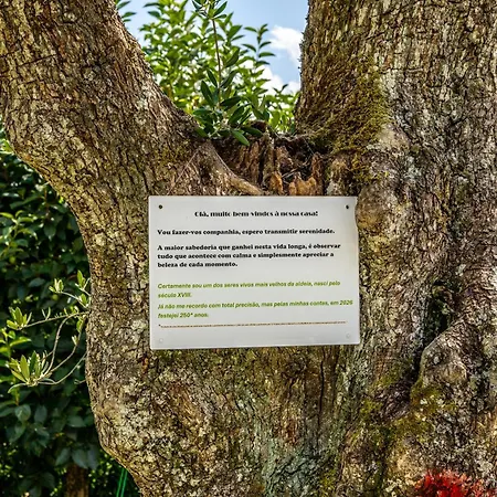 Taloca Do Grilo Casa de Férias Baião